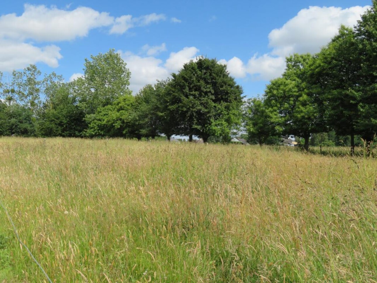 Photos 8 - Equestrian - PROPRIÉTÉ ÉQUESTRE SUR 2 HA - SECTEUR DE RENNES OUEST (35)