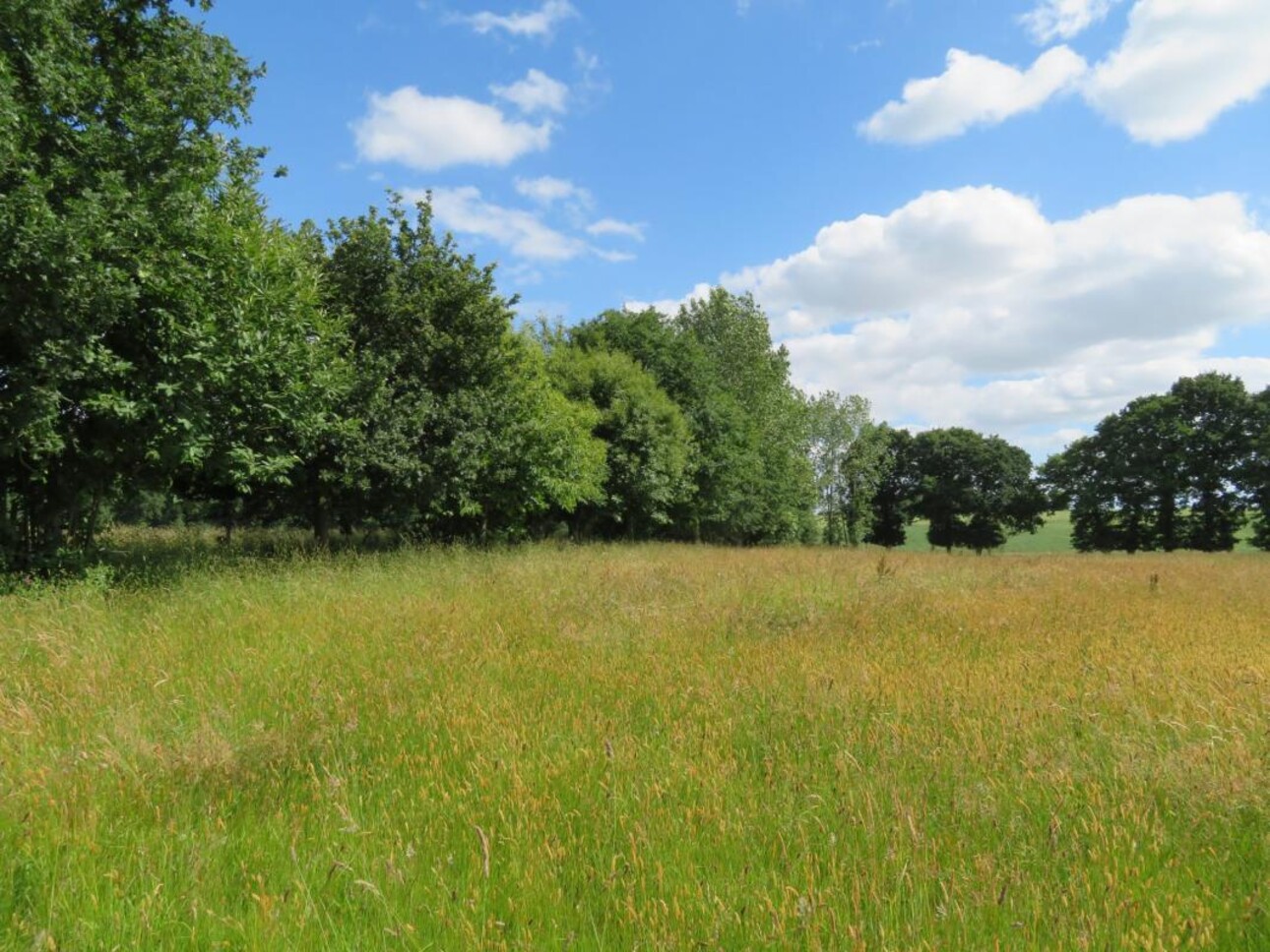 Photos 16 - Equestrian - PROPRIÉTÉ ÉQUESTRE SUR 2 HA - SECTEUR DE RENNES OUEST (35)