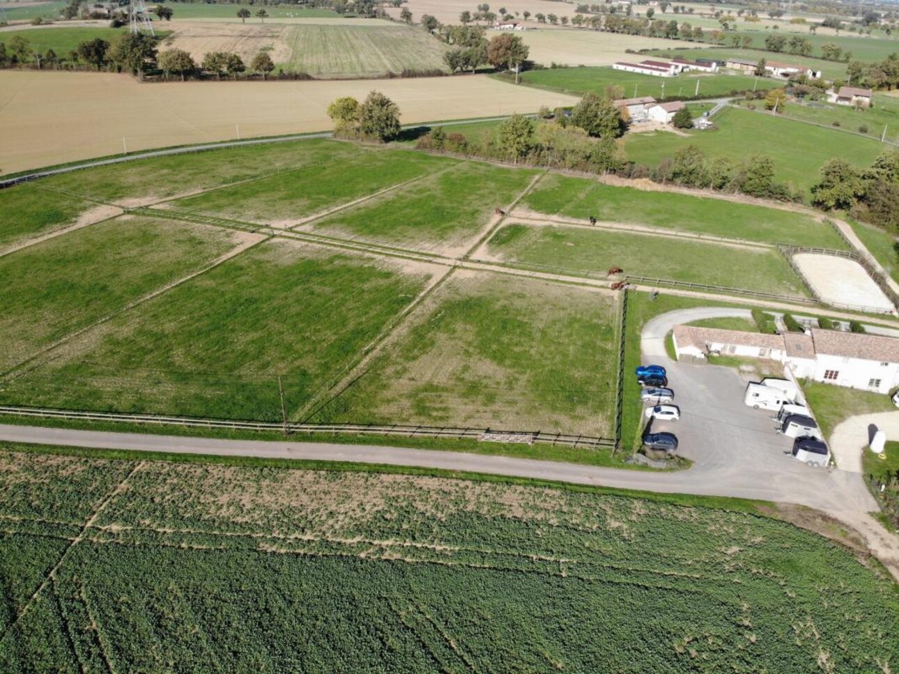 Photos 3 - Equestrian - Ecurie de Propriétaires sur 5 ha - secteur Ouest de l'Ain (