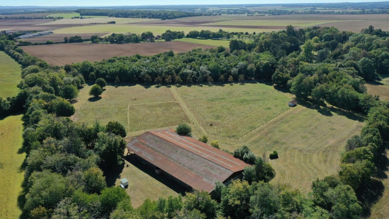 Photos 20 - Équestre - Château, dépendances et installations équestres (18)