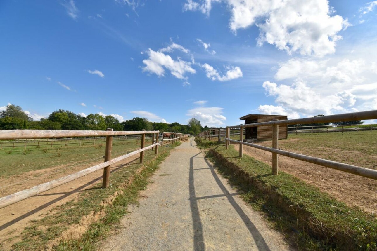 Photos 1 - Equestrian - STRUCTURE ÉQUESTRE SUR 10,14 HA - SECTEUR DE GUINGAMP (22)