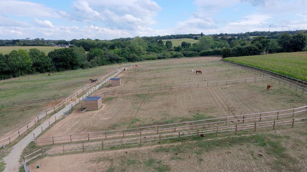 Photos 2 - Equestrian - STRUCTURE ÉQUESTRE SUR 10,14 HA - SECTEUR DE GUINGAMP (22)