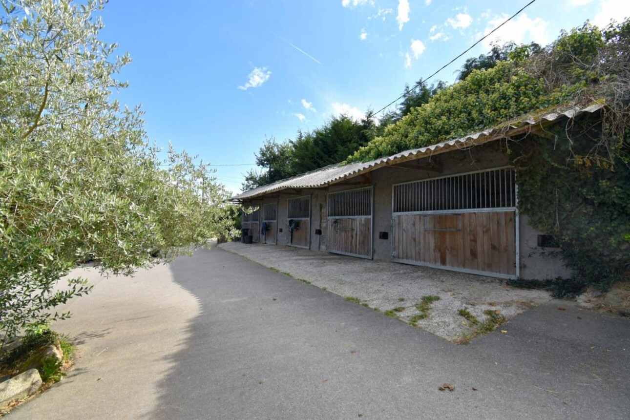 Photos 3 - Equestrian - STRUCTURE ÉQUESTRE SUR 10,14 HA - SECTEUR DE GUINGAMP (22)