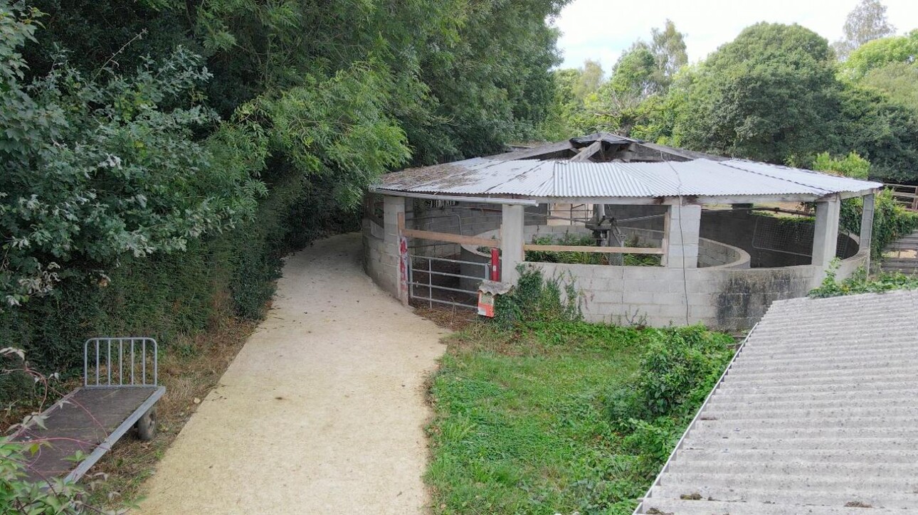 Photos 6 - Equestrian - STRUCTURE ÉQUESTRE SUR 10,14 HA - SECTEUR DE GUINGAMP (22)