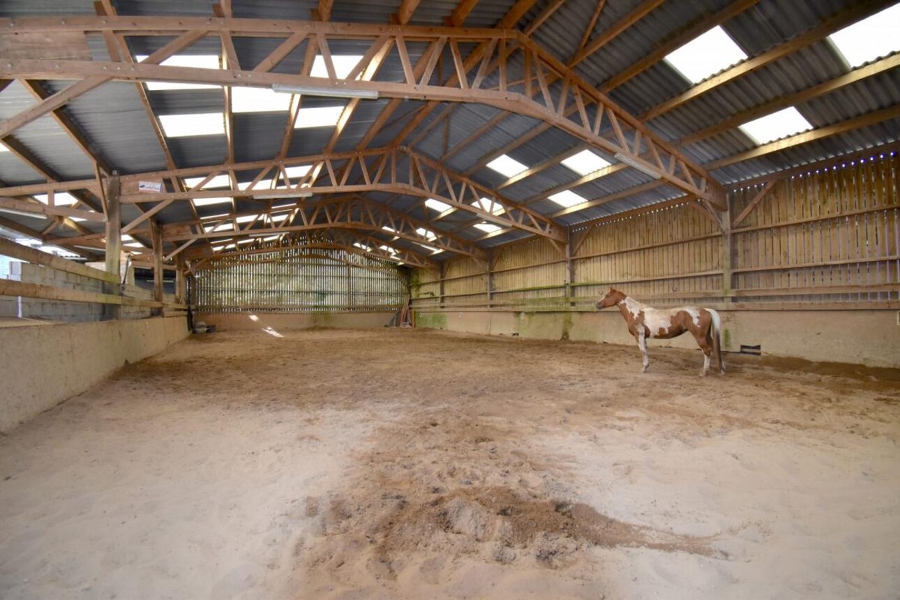 Photos 7 - Equestrian - STRUCTURE ÉQUESTRE SUR 10,14 HA - SECTEUR DE GUINGAMP (22)