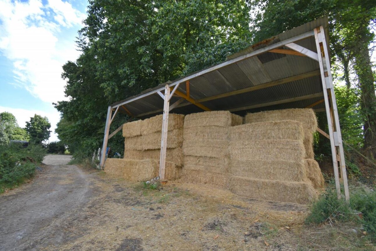 Photos 11 - Equestrian - STRUCTURE ÉQUESTRE SUR 10,14 HA - SECTEUR DE GUINGAMP (22)