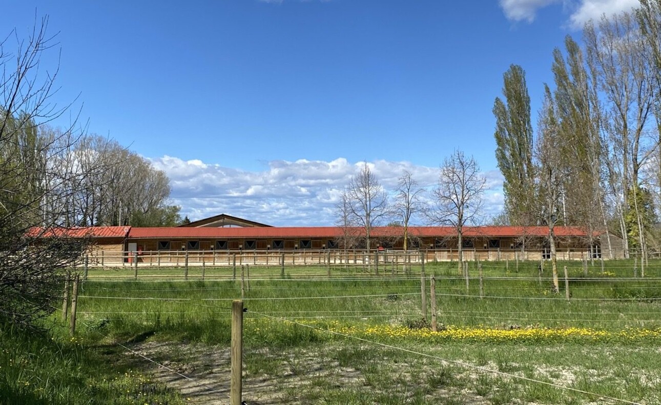 Photos 2 - Equestrian - Écurie moderne en plein coeur de la Provence (30)