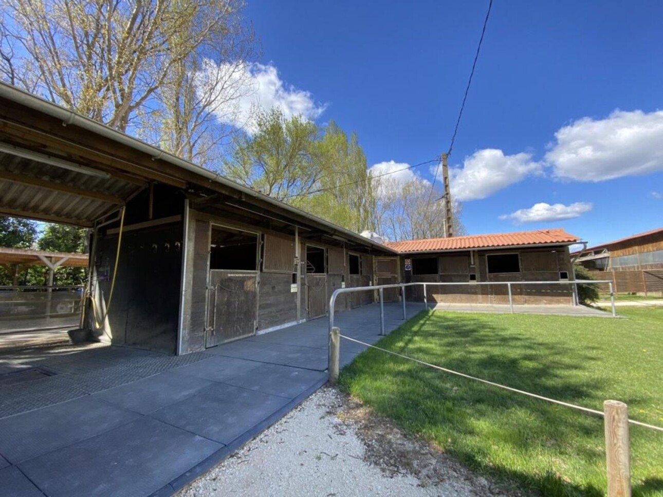 Photos 10 - Equestrian - Écurie moderne en plein coeur de la Provence (30)