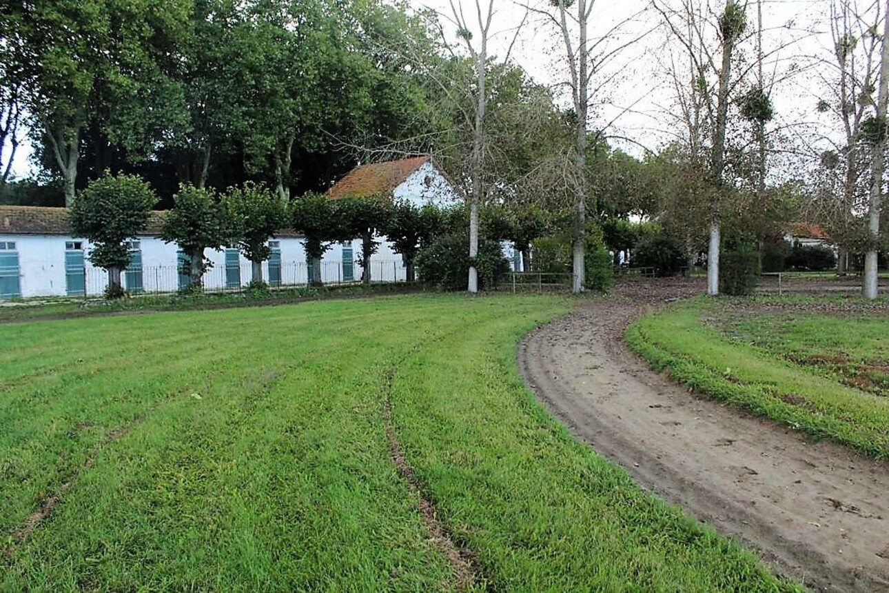 Photos 10 - Equestrian - Haras de 8 ha aux portes de Chantilly (60)