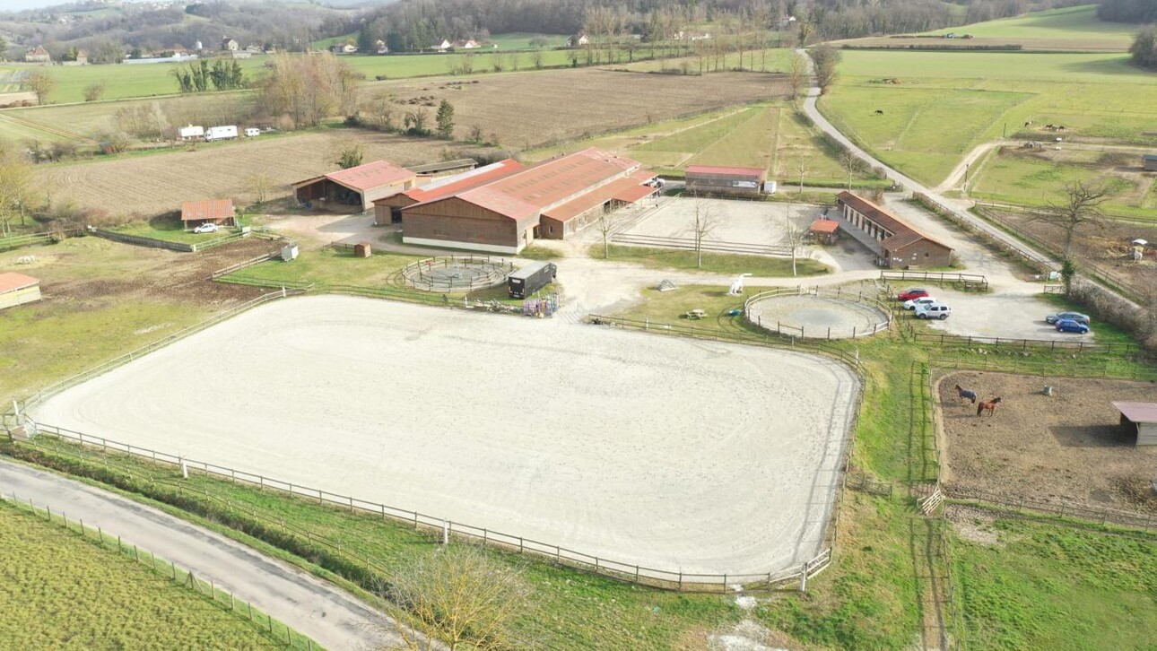 Photos 2 - Equestrian - Centre équestre et écurie de propriétaires - balnéothérapie