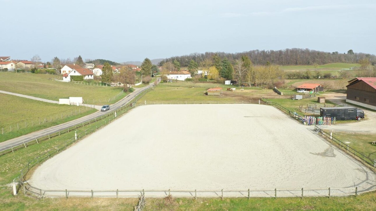 Photos 3 - Equestrian - Centre équestre et écurie de propriétaires - balnéothérapie