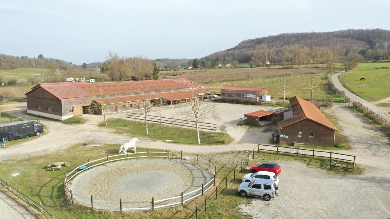 Photos 4 - Equestrian - Centre équestre et écurie de propriétaires - balnéothérapie