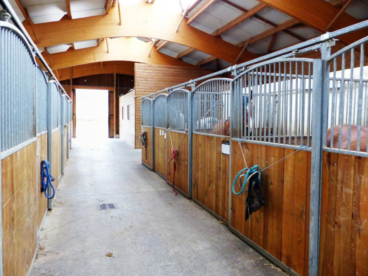 Photos 10 - Equestrian - Centre équestre et écurie de propriétaires - balnéothérapie