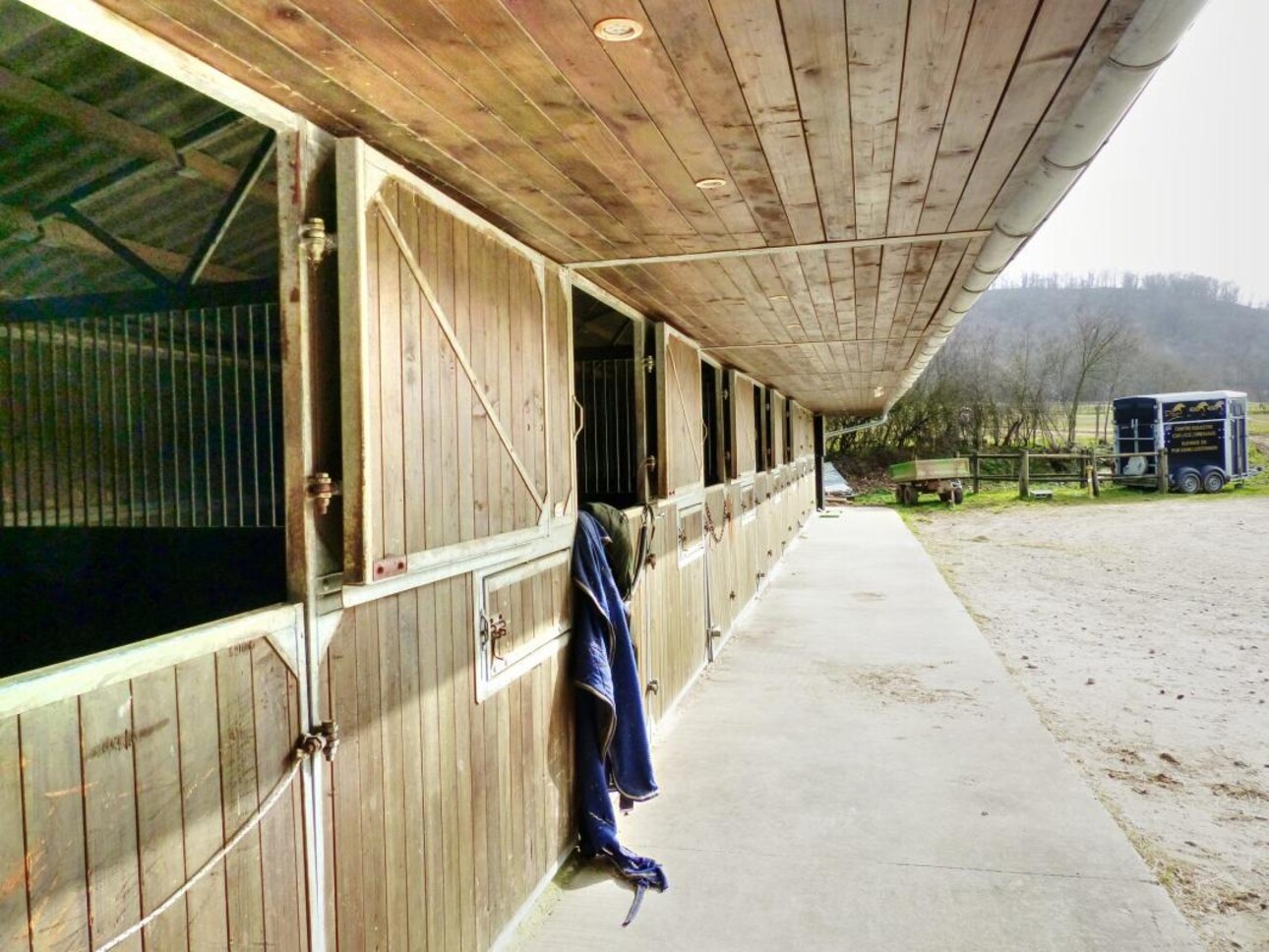 Photos 11 - Equestrian - Centre équestre et écurie de propriétaires - balnéothérapie