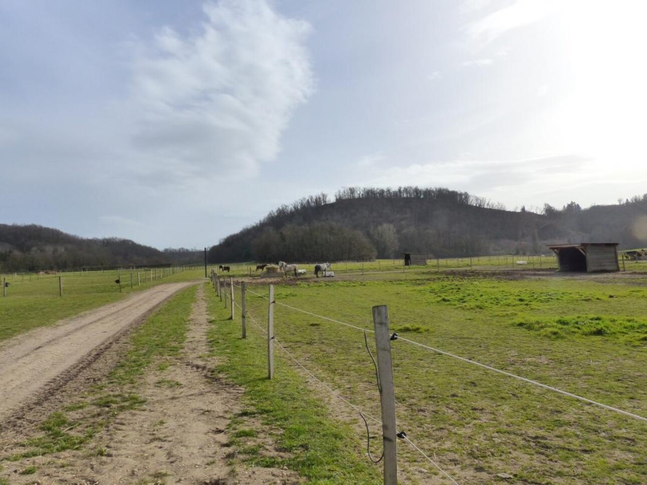 Photos 13 - Equestrian - Centre équestre et écurie de propriétaires - balnéothérapie