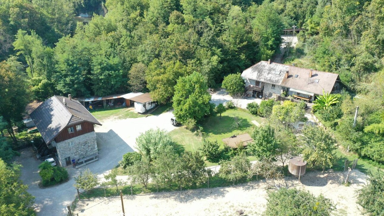 Photos 2 - Equestrian - Propriété agricole avec dépendances sur 4 ha - Annecy