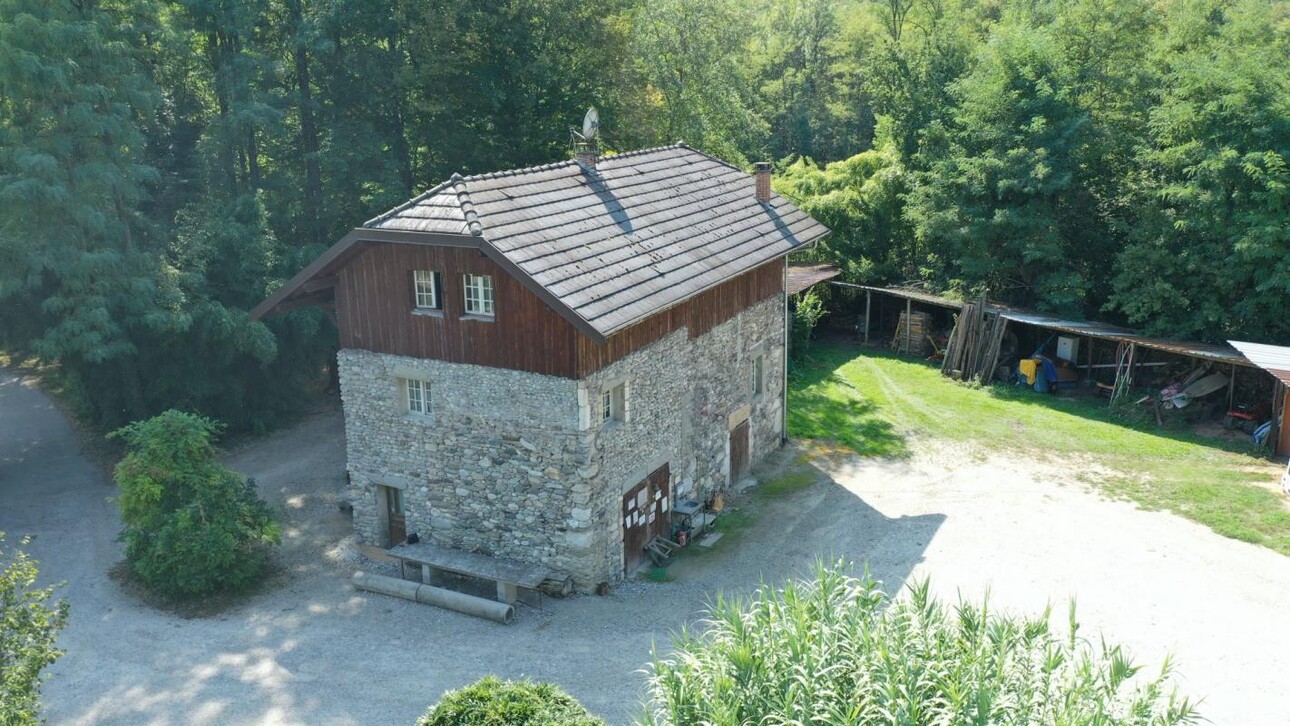 Photos 5 - Equestrian - Propriété agricole avec dépendances sur 4 ha - Annecy