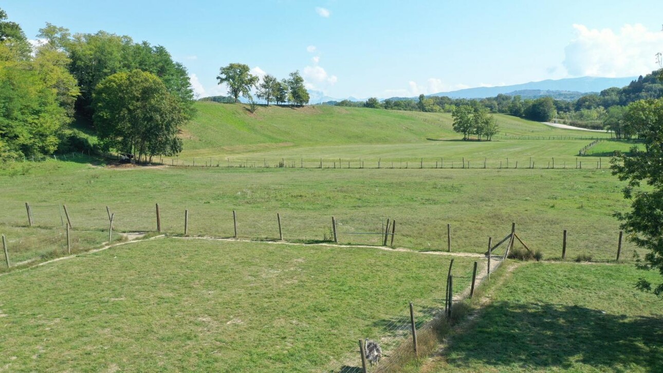 Photos 8 - Equestrian - Propriété agricole avec dépendances sur 4 ha - Annecy