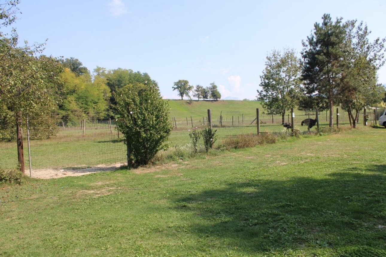 Photos 14 - Equestrian - Propriété agricole avec dépendances sur 4 ha - Annecy