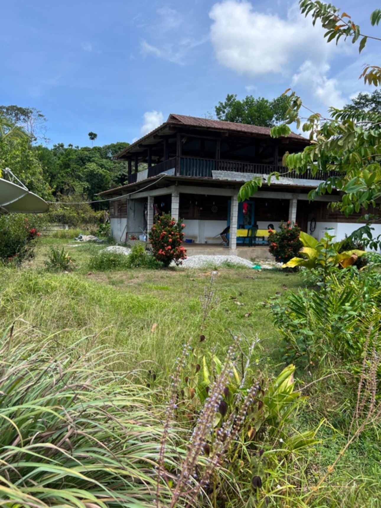 Photos 1 - Foncière - Dpt Guyane (973), à vendre KOUROU terrain