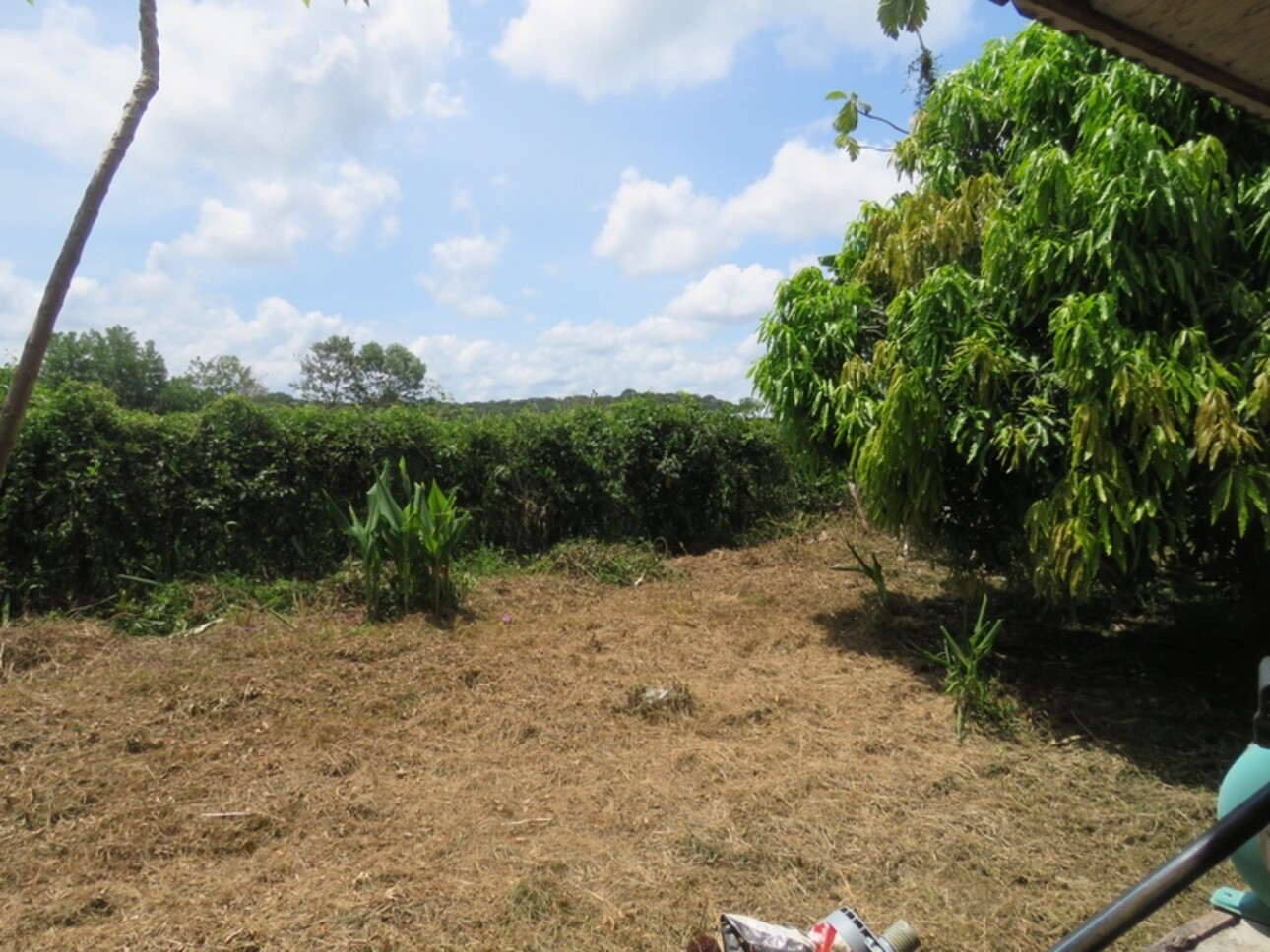 Photos 5 - Land - Dpt Guyane (973), à vendre KOUROU terrain