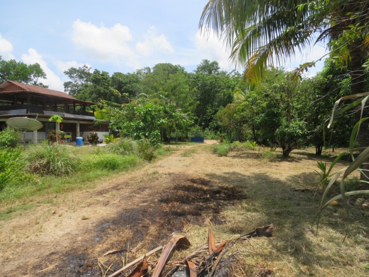 Photos 6 - Foncière - Dpt Guyane (973), à vendre KOUROU terrain