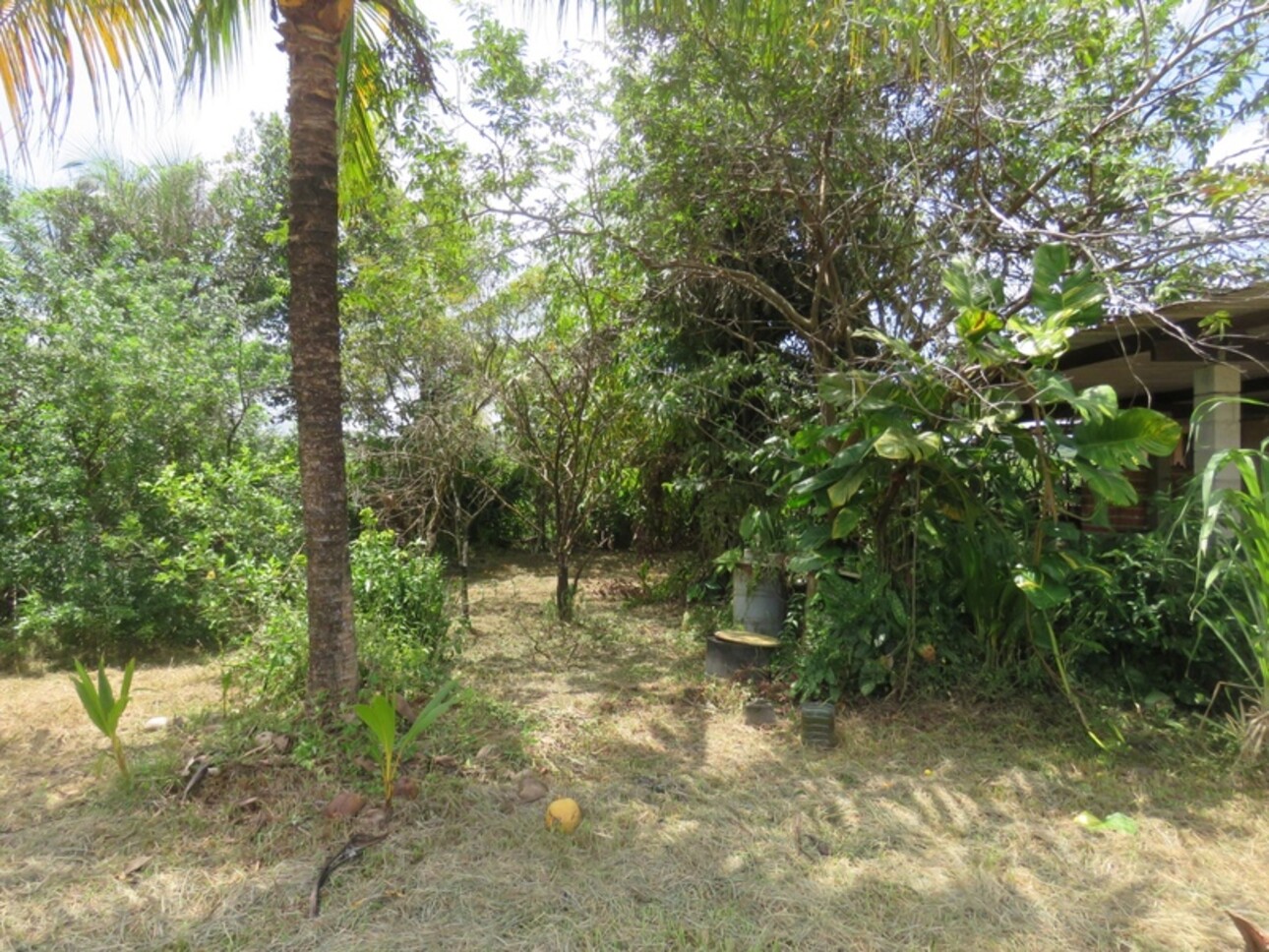 Photos 7 - Foncière - Dpt Guyane (973), à vendre KOUROU terrain