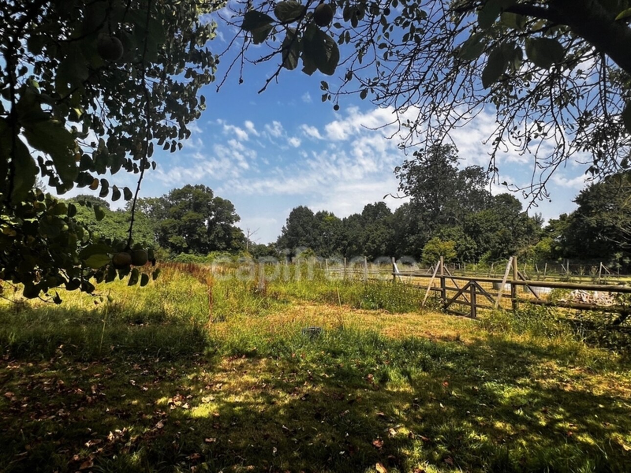 Photos 11 - Prestige - Propriété de 3 maisons dans un cadre bucolique avec plus de 3 hectares - à 20min de LA ROCHELLE