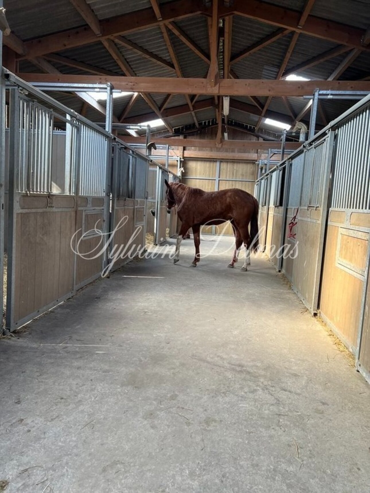 Photos 22 - Equestrian - Château du XIX° restauré sur un domaine de 25 hectares