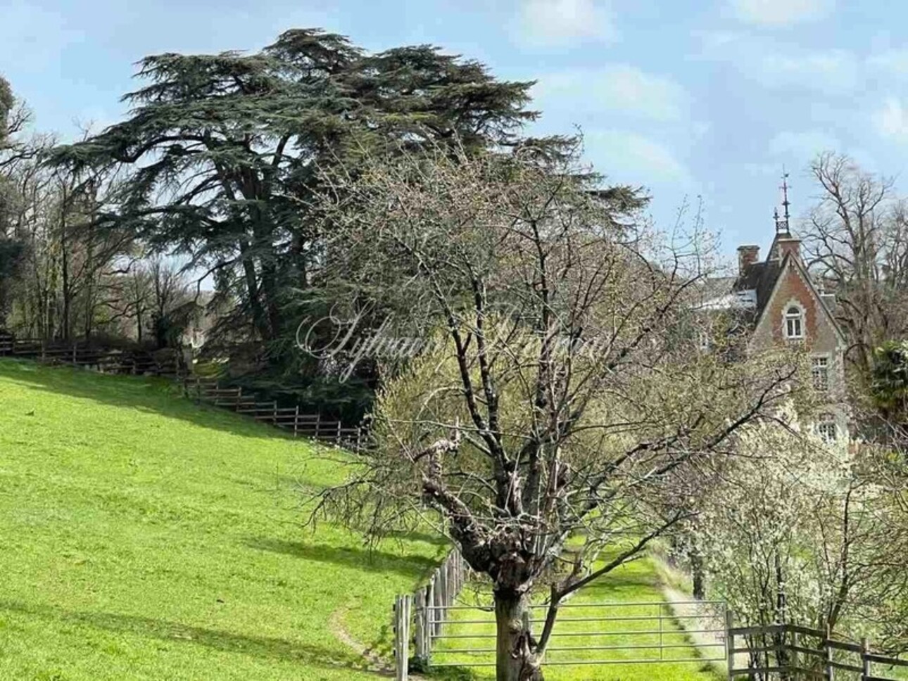 Photos 24 - Equestrian - Château du XIX° restauré sur un domaine de 25 hectares