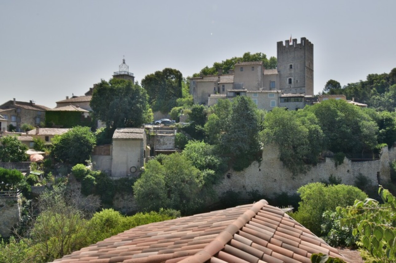 Photos 22 - Prestigious - PROPERTY Complex 2 VILLAS for SALE 9 rooms ESPARRON-DE-VERDON (04)