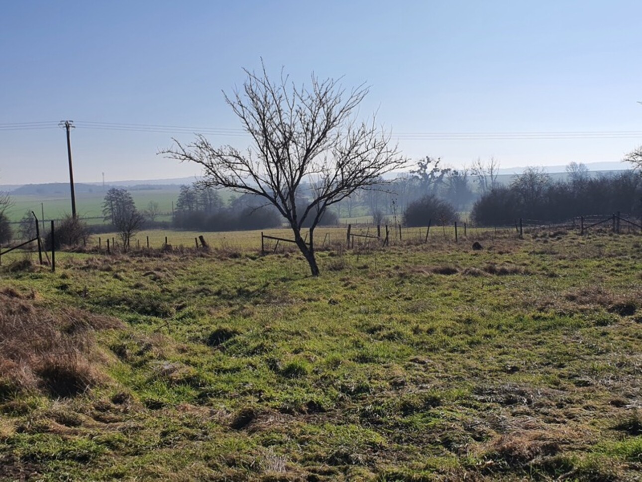 Photos 21 - Équestre - Dpt Vosges (88), à vendre proche de CONTREXEVILLE - FERME LORRAINE T7 sur 1,7 hectare de TERRAIN