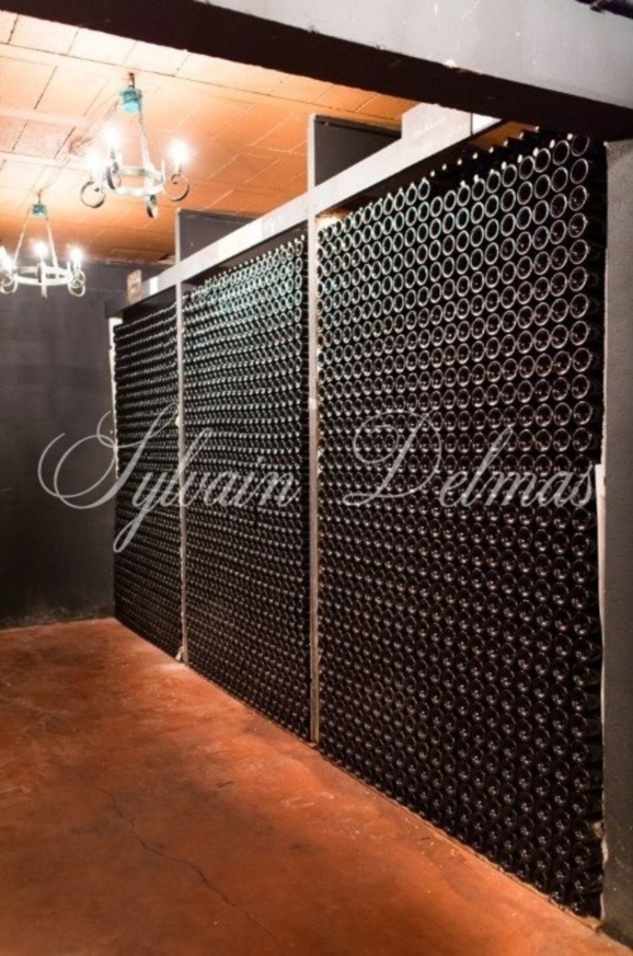 Photos 7 - Vineyard - RARE Bordeaux wine estate opportunity