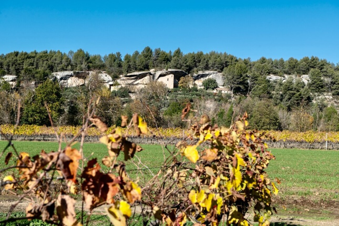 Photos 26 - Touristique - Dpt Vaucluse (84), à vendre en campagne de MENERBES, proche de Gordes et de l'Isle sur la Sorgue, propriété de près de 400 m² avec mas principal de 4 chambres, 3 gîtes et 1 roulotte sur 2 hectares