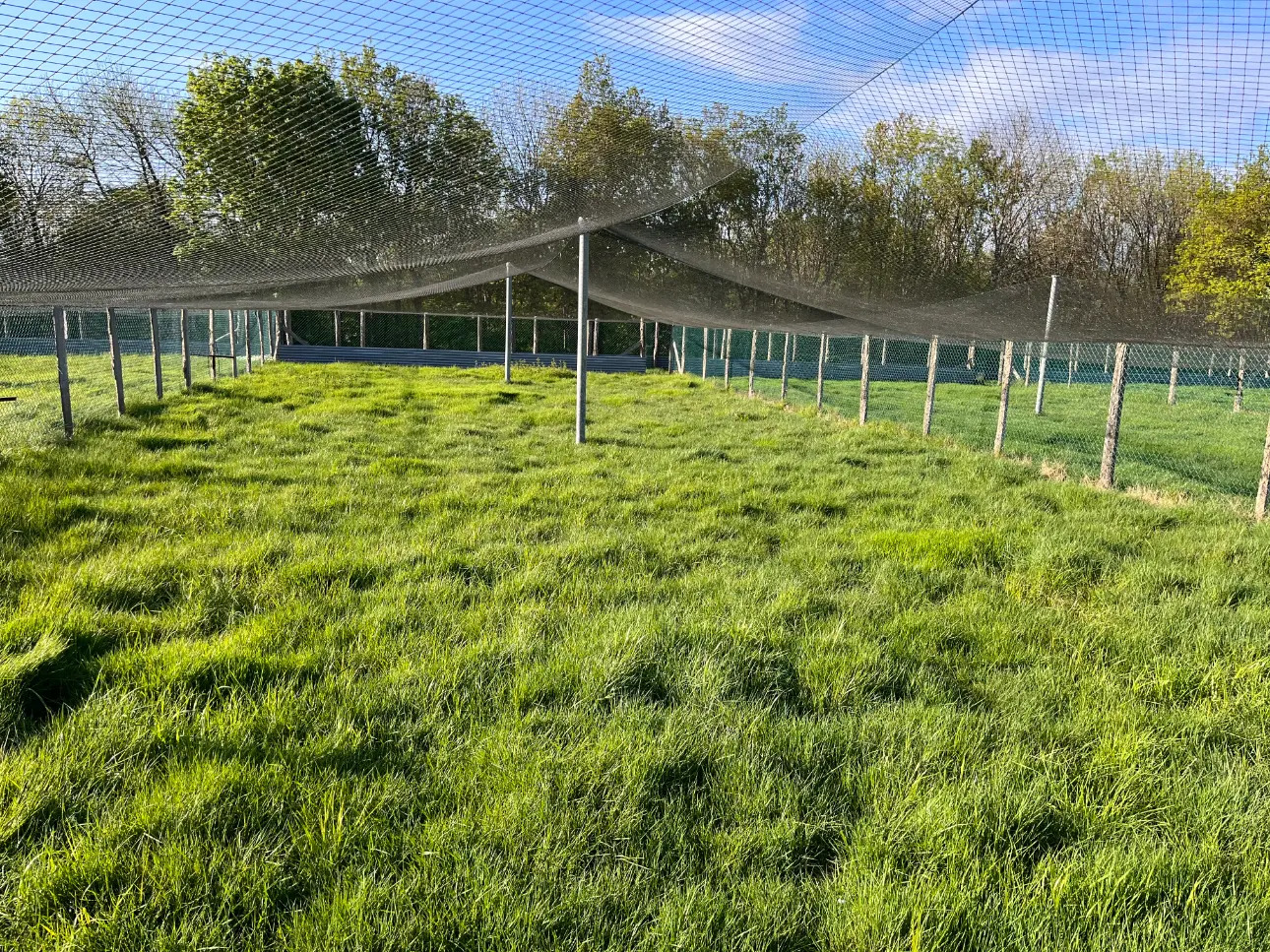 Photos 1 - Agricole - Vente Exploitation Agricole Traditionnelle Française