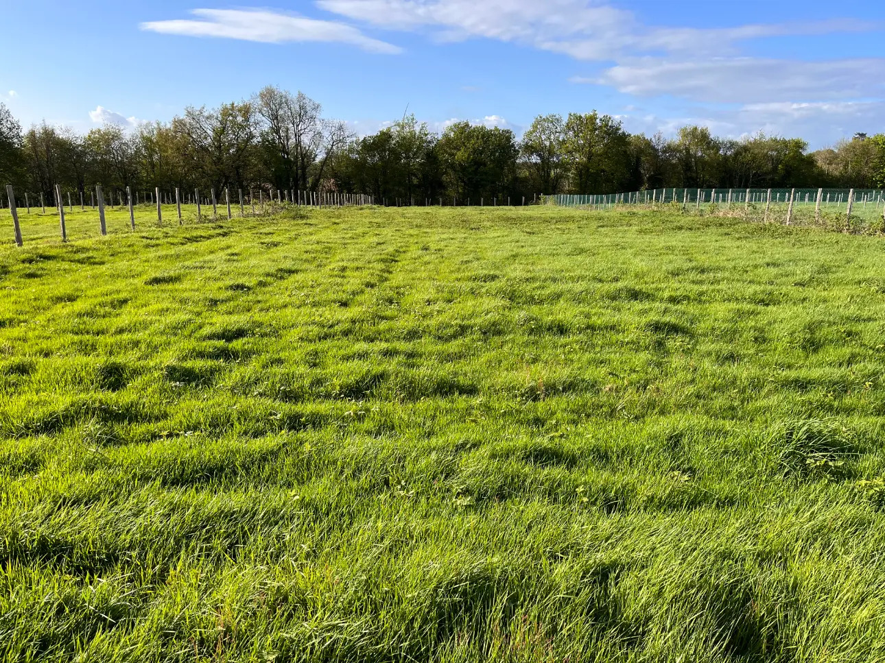 Photos 2 - Agricole - Vente Exploitation Agricole Traditionnelle Française