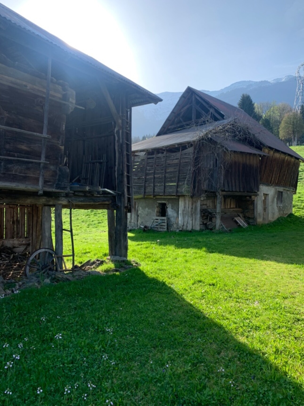 Photos 4 - Touristique - BONVILLARD (73) - Maison Grange - Terrain 2600 m2