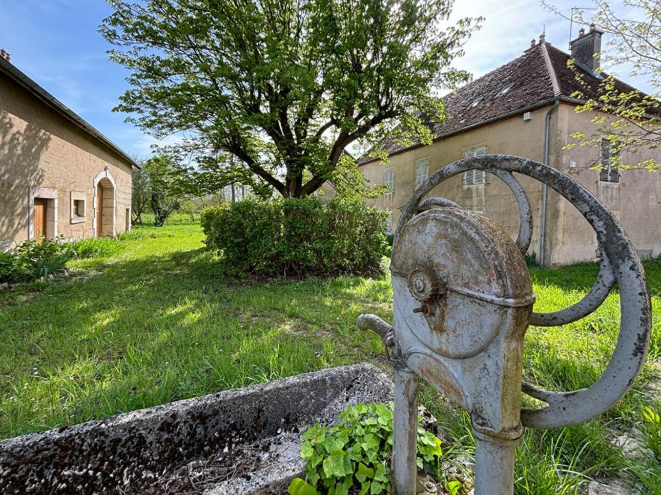 Photos 4 - Equestrian - Maison de maître à restaurer proche de Dole