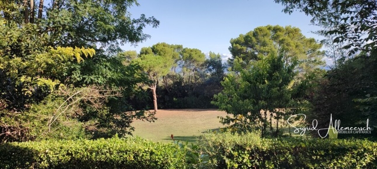 Photos 6 - Equestrian - Dpt Aude (11), located between Carcassonne and Castelnaudary property P14 of 596 m² - Land of 16.00