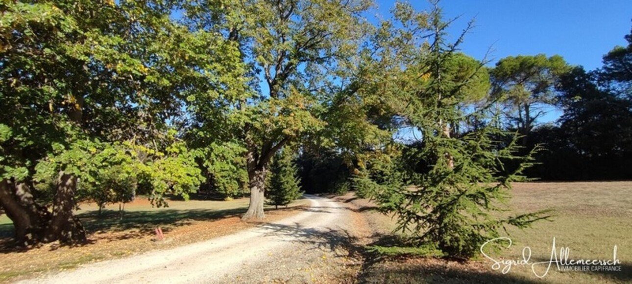 Photos 35 - Equestrian - Dpt Aude (11), located between Carcassonne and Castelnaudary property P14 of 596 m² - Land of 16.00