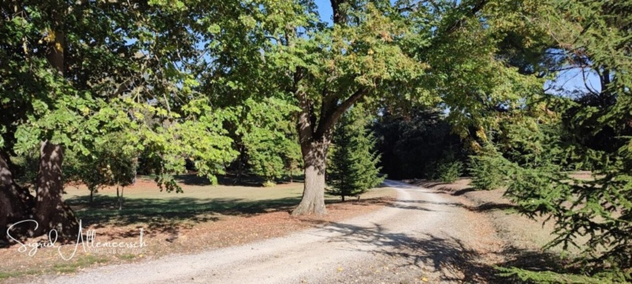 Photos 39 - Equestrian - Dpt Aude (11), located between Carcassonne and Castelnaudary property P14 of 596 m² - Land of 16.00