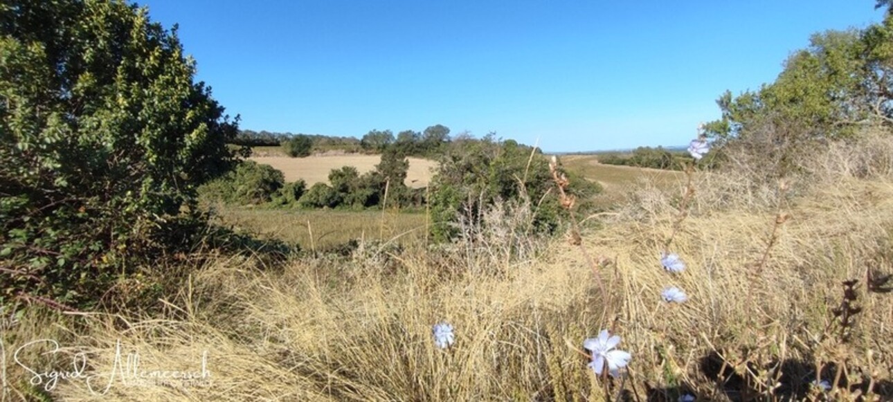 Photos 43 - Équestre - Dpt Aude (11), située entre Carcassonne et Castelnaudary propriété P14 d'environ 596 m² - Terrain de 16,00 Ha