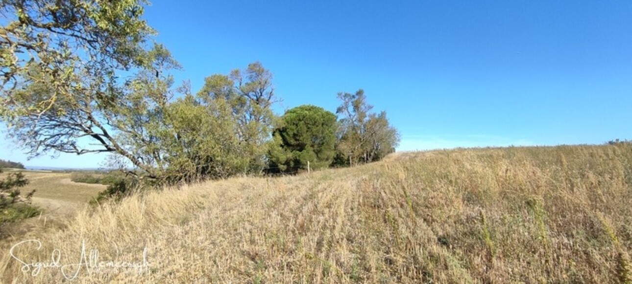 Photos 44 - Équestre - Dpt Aude (11), située entre Carcassonne et Castelnaudary propriété P14 d'environ 596 m² - Terrain de 16,00 Ha