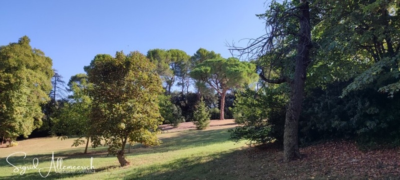 Photos 48 - Equestrian - Dpt Aude (11), located between Carcassonne and Castelnaudary property P14 of 596 m² - Land of 16.00