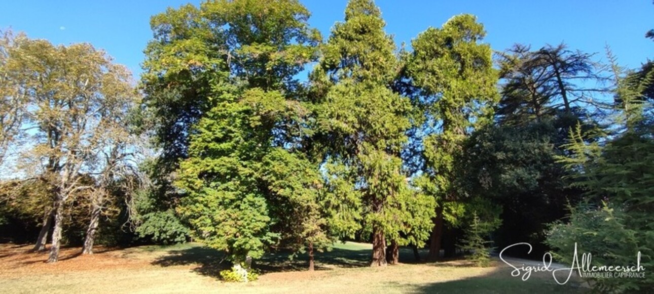 Photos 49 - Équestre - Dpt Aude (11), située entre Carcassonne et Castelnaudary propriété P14 d'environ 596 m² - Terrain de 16,00 Ha