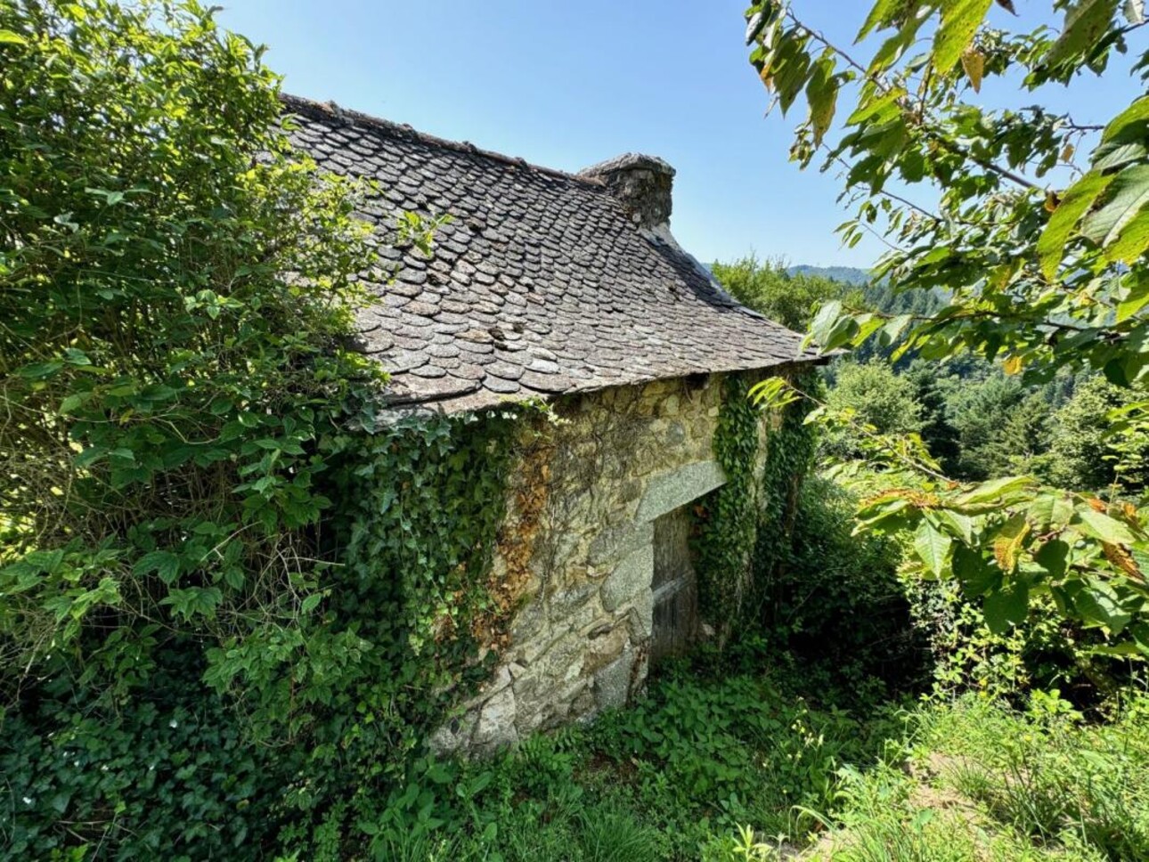 Photos 16 - Tourist - Farm with outbuildings