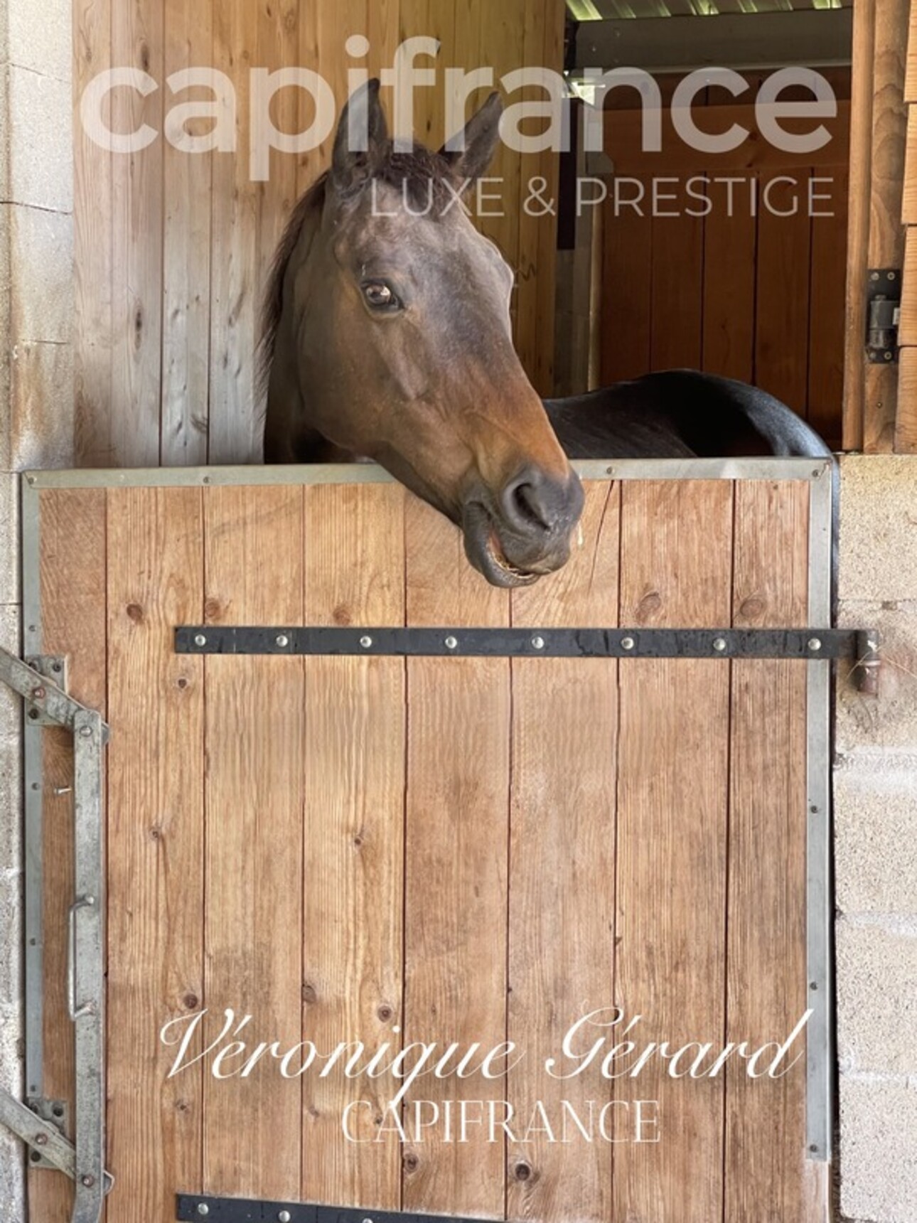 Photos 27 - Equestrian - PROPRIETE EQUESTRE SUR PLUS DE 10 HECTARES