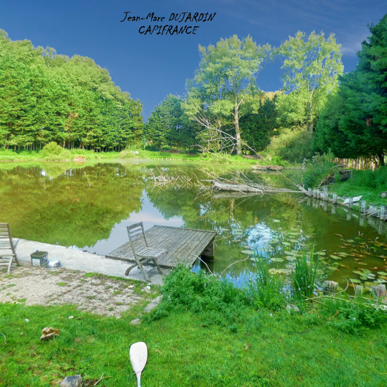 Photos 3 - Foncière - PROPRIETE DE PECHE & LOISIRS à MARCHIENNES