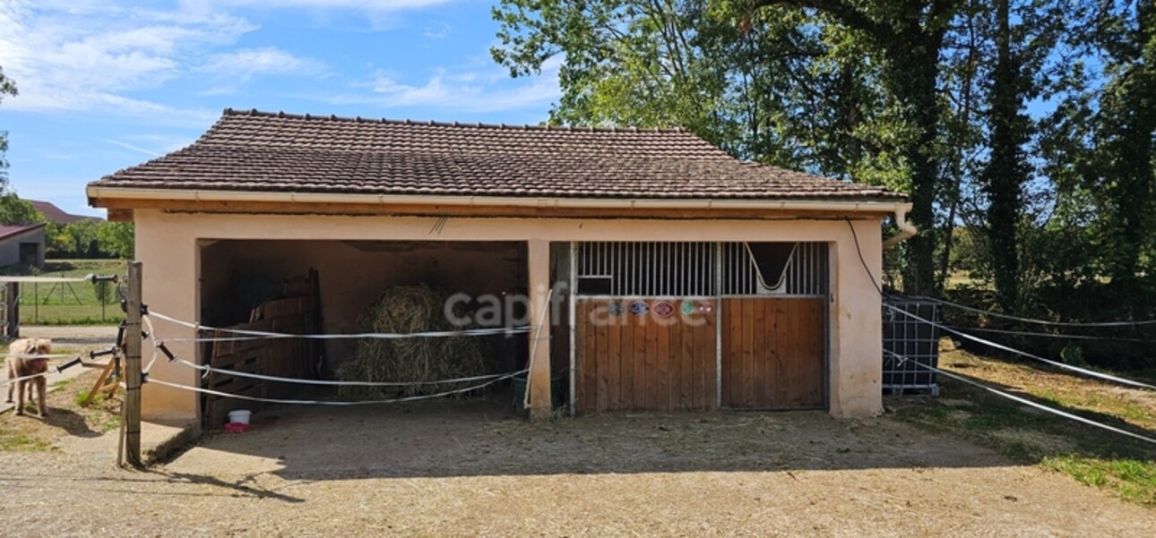 Photos 9 - Equestrian - Dpt Jura (39), à vendre maison en pierre rénovée avec dépendance équestre sur terrain de 5000 m2