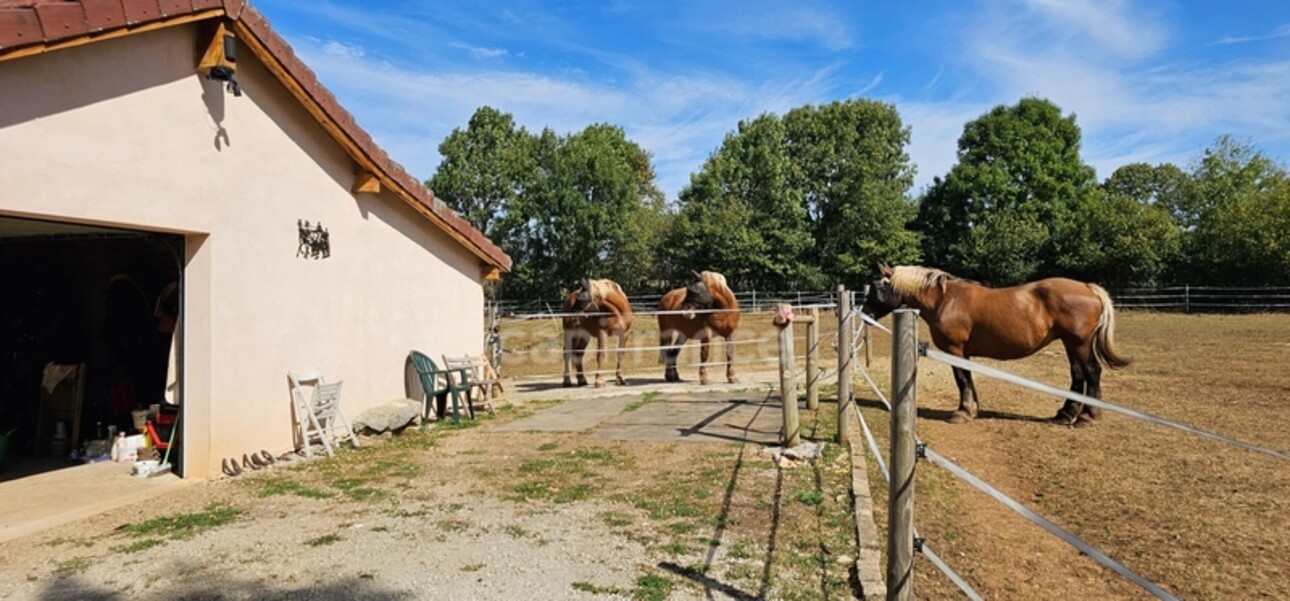 Photos 10 - Equestrian - Dpt Jura (39), à vendre maison en pierre rénovée avec dépendance équestre sur terrain de 5000 m2